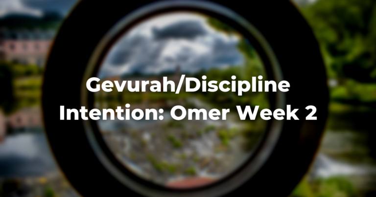 Gevurah/Discipline Intention: Omer Week 2
