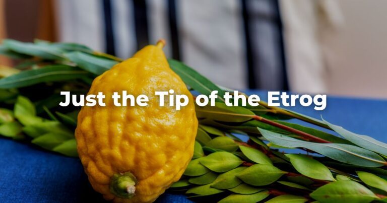 Just the Tip of the Etrog