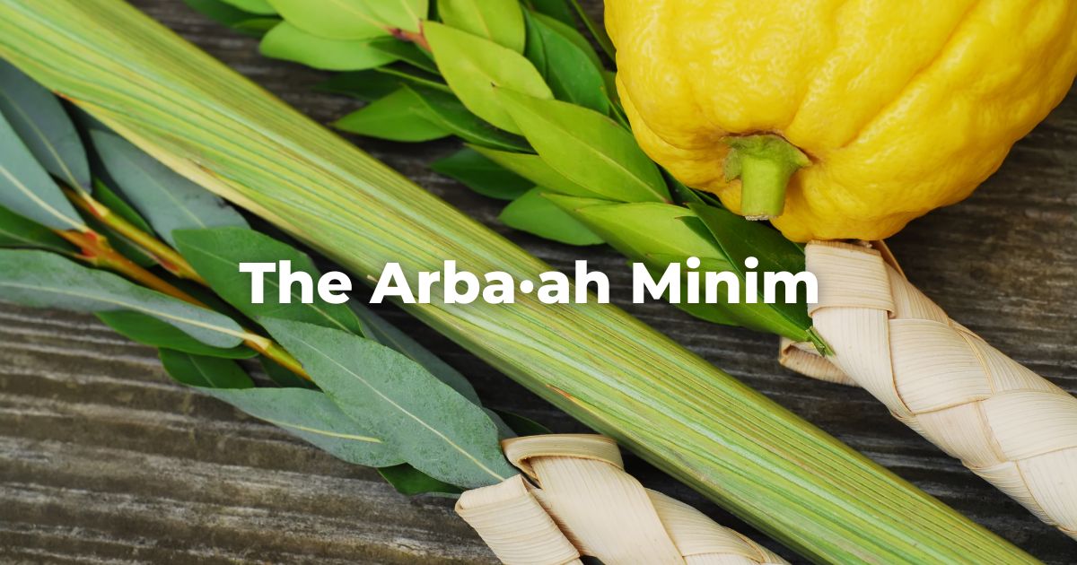 The Arba•ah Minim