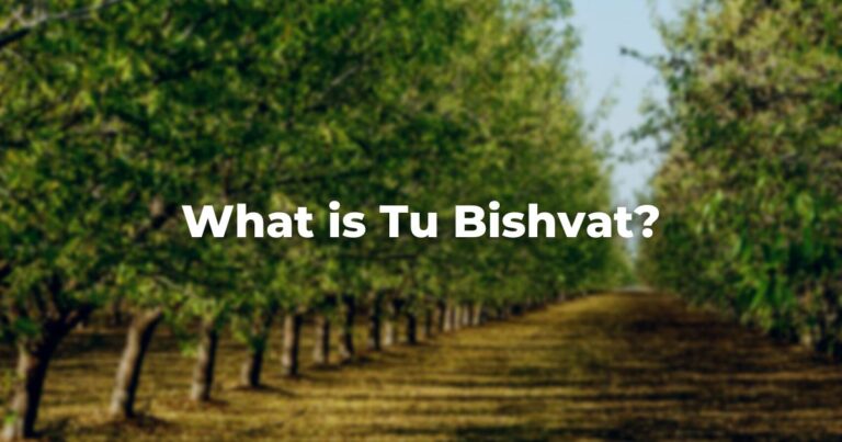 Blurry orchard with the words What is tu bishvat?