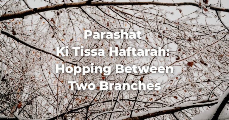 Parashat Ki Tissa Haftarah: Hopping Between Two Branches