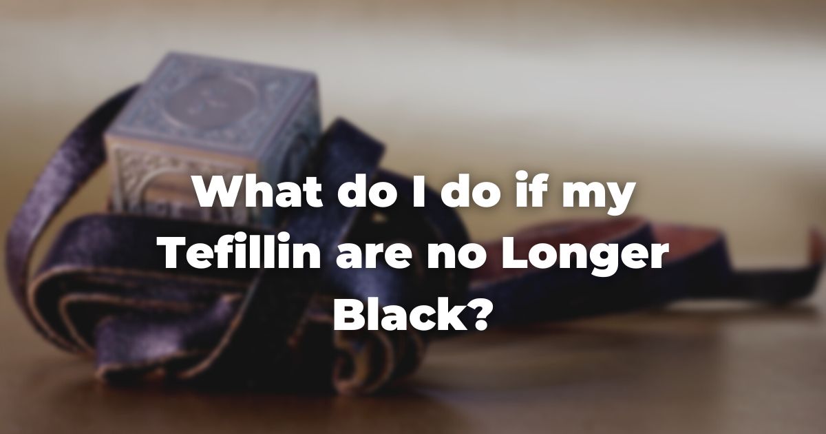 What do I do if my Tefillin are no Longer Black?