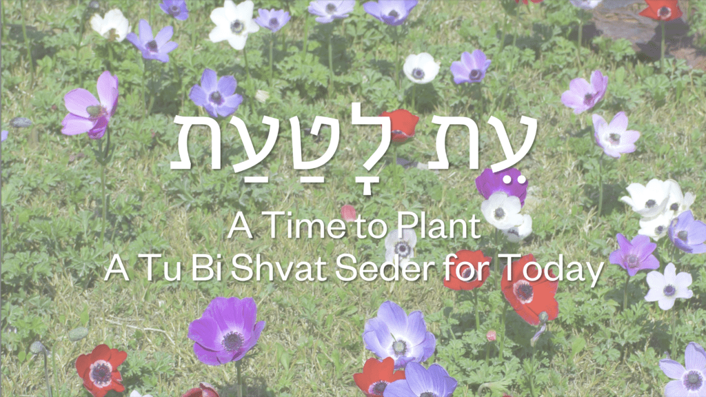 What Is A Tu Bishvat Seder? - The Digital Home For Conservative Judaism