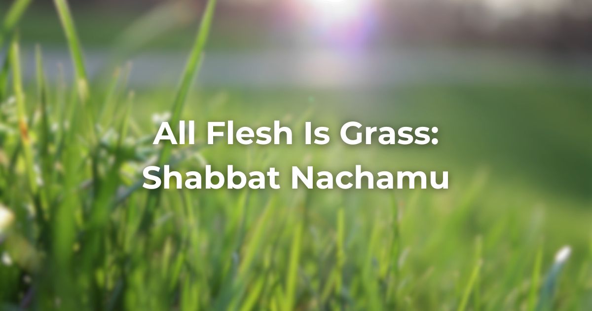 All Flesh Is Grass: Shabbat Nachamu