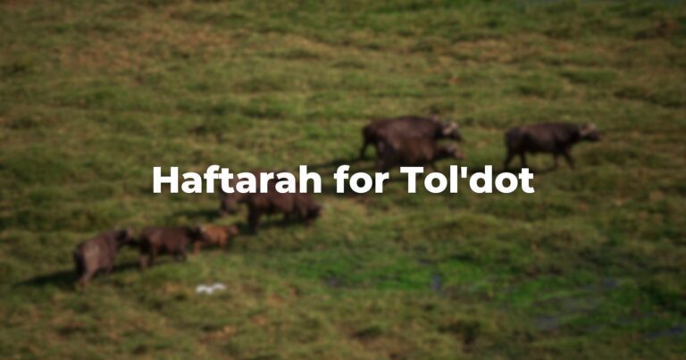 Haftarah for Tol'dot